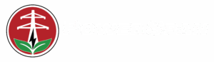 powerspan full color logo with white letters